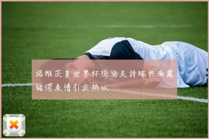 诺维茨基世界杯现场支持瑞典面露错愕表情引发热议