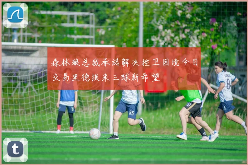 森林狼总裁承诺解决控卫困境今日交易里德换来三球新希望